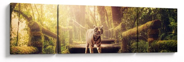 Obraz tygra v džungli (170x50 cm)