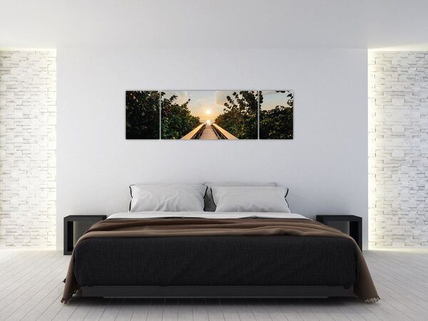 Obraz - cesta ke slunci (170x50 cm)