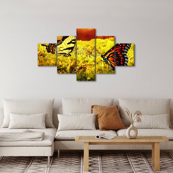 Obraz motýlů (125x70 cm)
