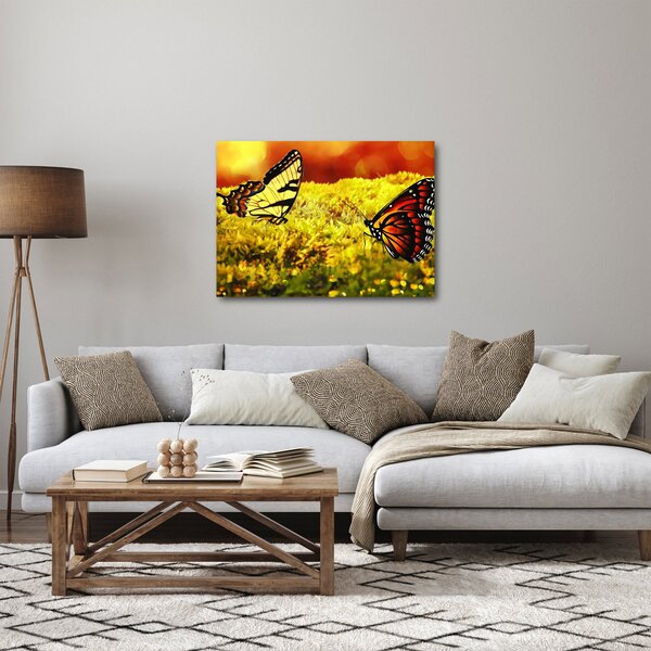 Obraz motýlů (70x50 cm)
