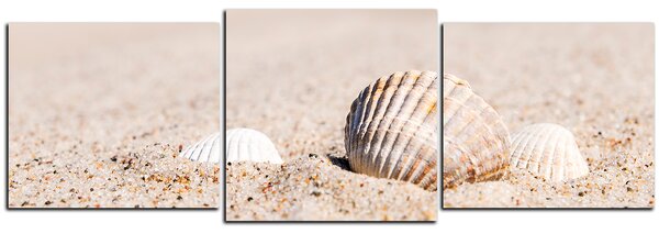 Obraz na plátně - Moře a mušle - panoráma 5126D (90x30 cm)