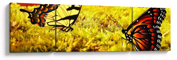 Obraz motýlů (170x50 cm)
