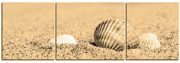 Obraz na plátně - Moře a mušle - panoráma 5126FC (150x50 cm)