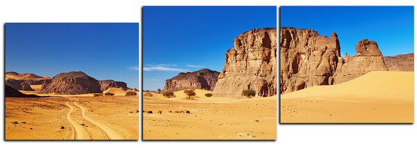 Obraz na plátně - Silnice v poušti - panoráma 5129E (90x30 cm)