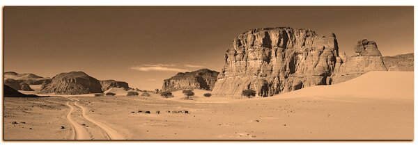 Obraz na plátně - Silnice v poušti - panoráma 5129FA (105x35 cm)