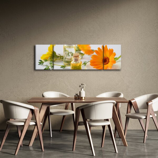 Obraz oranžových květin (170x50 cm)
