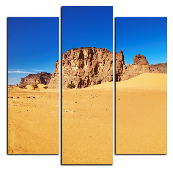 Obraz na plátně - Silnice v poušti - čtverec 3129C (75x75 cm)