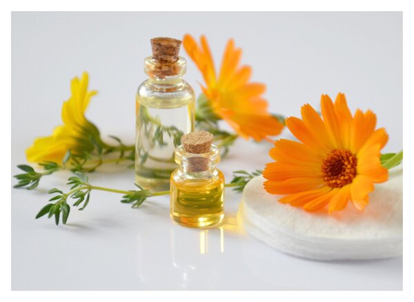 Obraz oranžových květin (70x50 cm)