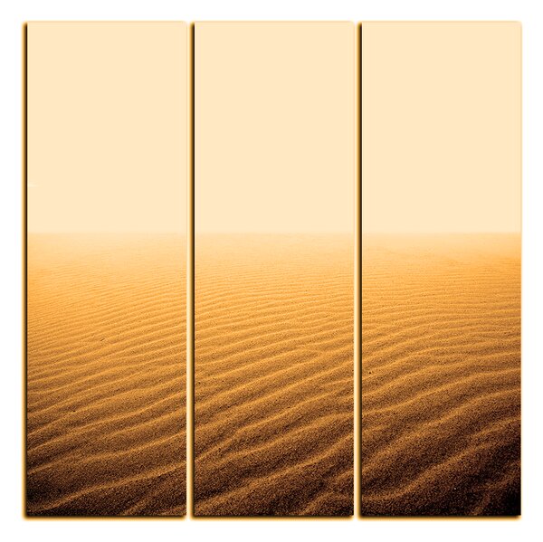 Obraz na plátně - Písek v poušti - čtverec 3127FB (75x75 cm)