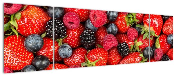 Obraz - Ovocná nálož (170x50 cm)