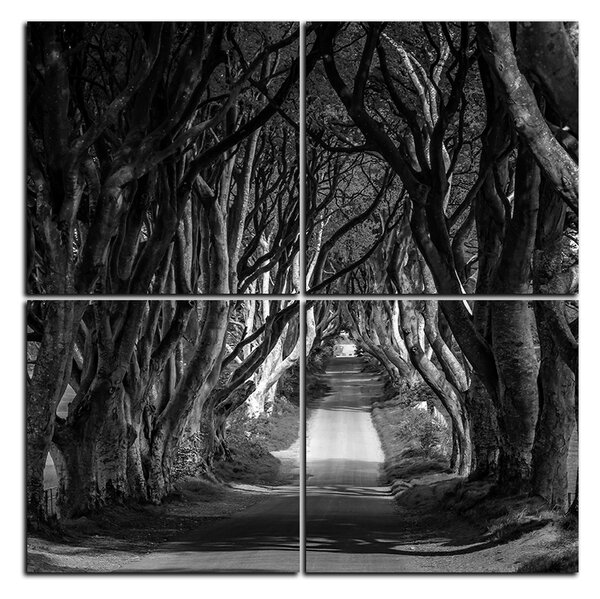 Obraz na plátně - Tmavé ploty v Irsku - čtverec 3134QD (60x60 cm)