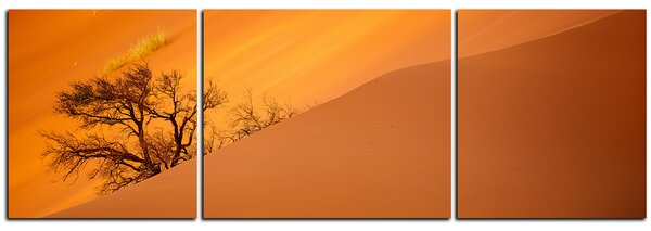Obraz na plátně - Červené písečné duny - panoráma 5133C (120x40 cm)