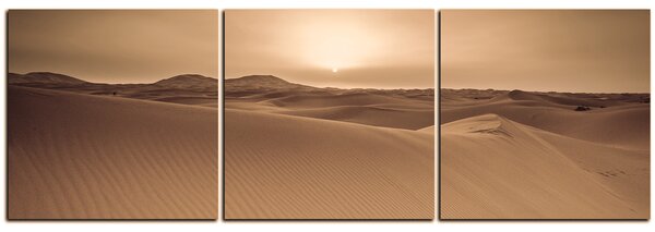 Obraz na plátně - Pouště Sahara - panoráma 5131FB (90x30 cm)