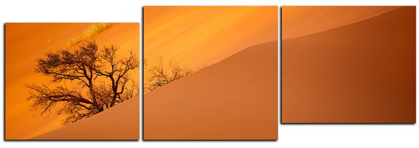 Obraz na plátně - Červené písečné duny - panoráma 5133D (90x30 cm)