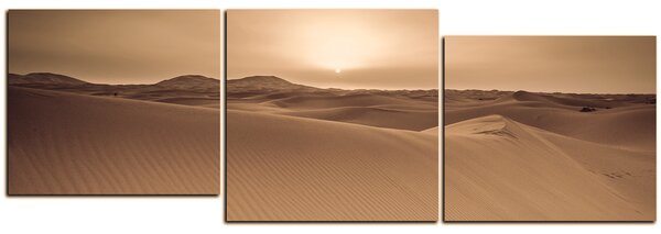 Obraz na plátně - Pouště Sahara - panoráma 5131FE (90x30 cm)