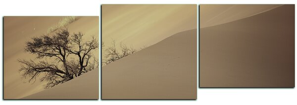 Obraz na plátně - Červené písečné duny - panoráma 5133FD (90x30 cm)