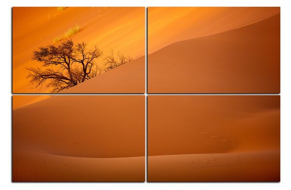 Obraz na plátně - Červené písečné duny 1133E (150x100 cm)