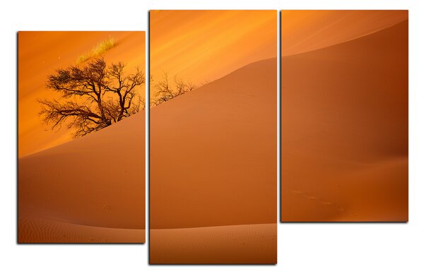 Obraz na plátně - Červené písečné duny 1133D (90x60 cm)