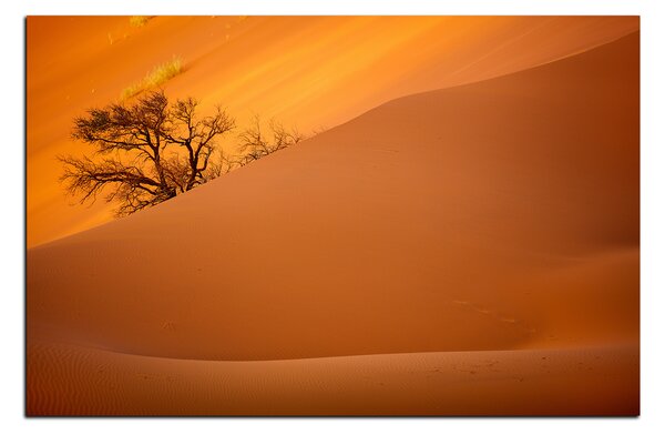 Obraz na plátně - Červené písečné duny 1133A (60x40 cm)