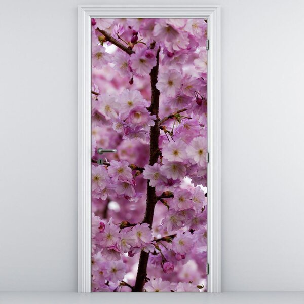 Fototapeta na dveře - květy jabloně (95x205cm)