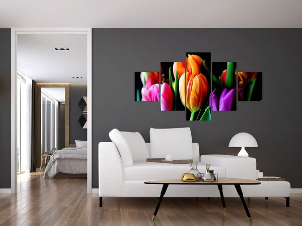 Obraz tulipánů na černém pozadí (125x70 cm)