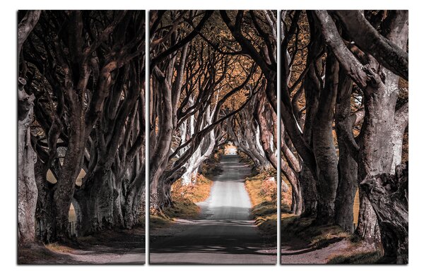 Obraz na plátně - Tmavé ploty v Irsku 1134FB (90x60 cm )
