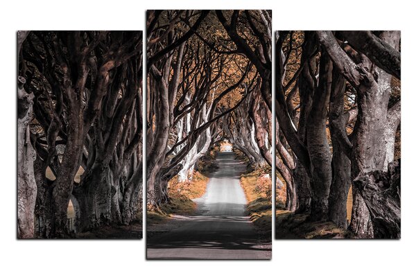 Obraz na plátně - Tmavé ploty v Irsku 1134FC (135x90 cm)