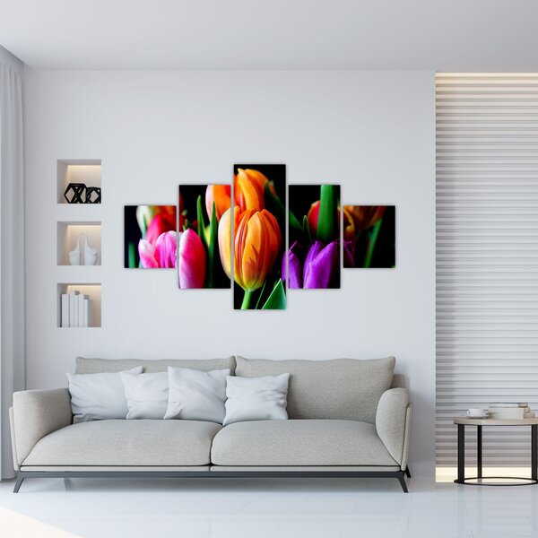 Obraz tulipánů na černém pozadí (125x70 cm)