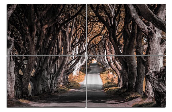 Obraz na plátně - Tmavé ploty v Irsku 1134FE (120x80 cm)