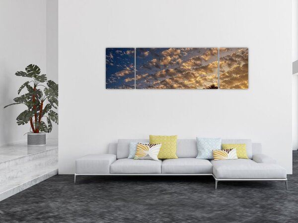 Obraz - Palmy mezi mraky (170x50 cm)