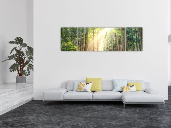 Obraz pěšiny v lese (170x50 cm)