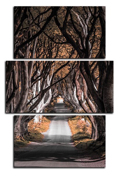 Obraz na plátně - Tmavé ploty v Irsku - obdélník 7134FC (90x60 cm)