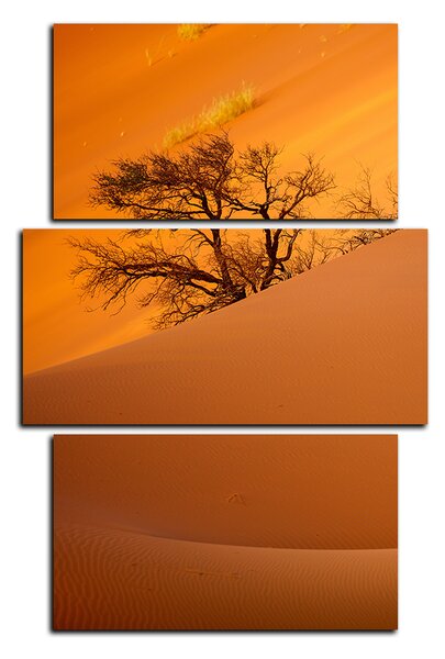 Obraz na plátně - Červené písečné duny - obdélník 7133C (90x60 cm)