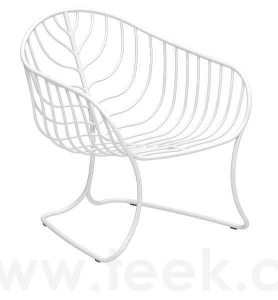 Royal Botania Nízké křeslo Folia, Royal Botania, 65x70x72 cm, nerez barva anthracite