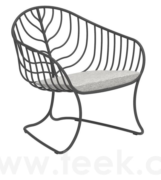 Royal Botania Nízké křeslo Folia, Royal Botania, 65x70x72 cm, nerez barva anthracite