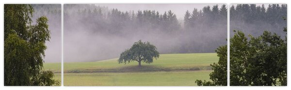 Obraz louky se stromem (170x50 cm)