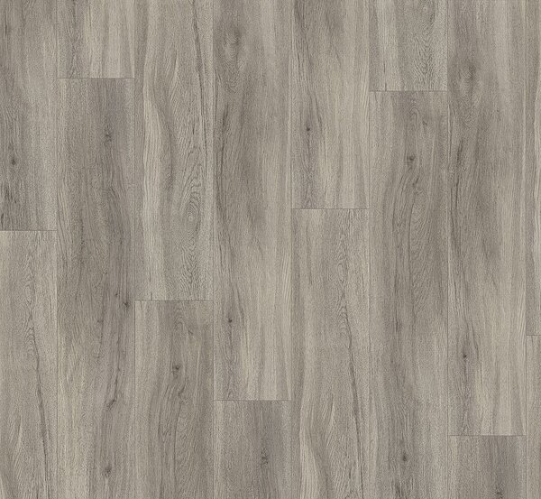 PARADOR Basic 5.3 SPC Dub pastelově šedý kartáčovaná struktura 1743005 - 2.18 m2