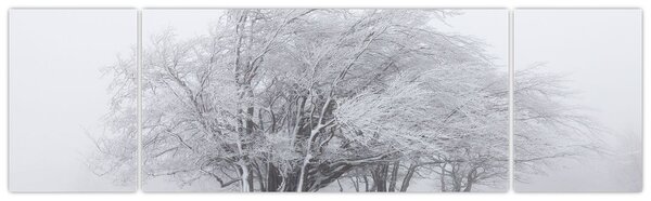 Obraz - Bílá zima (170x50 cm)