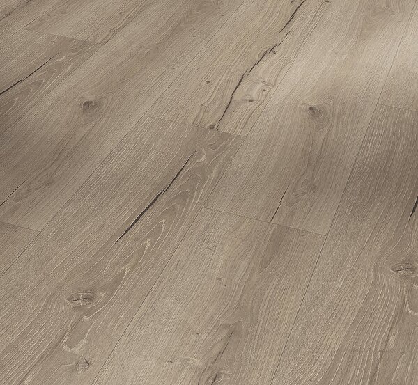 PARADOR Classic 2070 SPC Dub cambridge taupe 1748844 - 1.90 m2