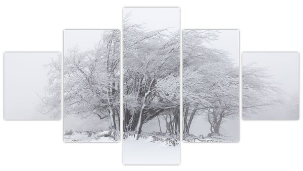 Obraz - Bílá zima (125x70 cm)