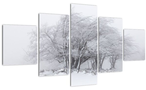 Obraz - Bílá zima (125x70 cm)