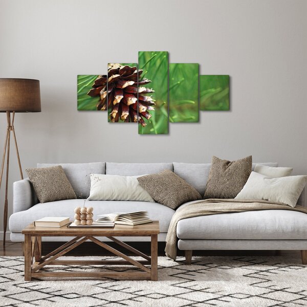 Obraz šišky (125x70 cm)