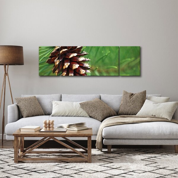 Obraz šišky (170x50 cm)
