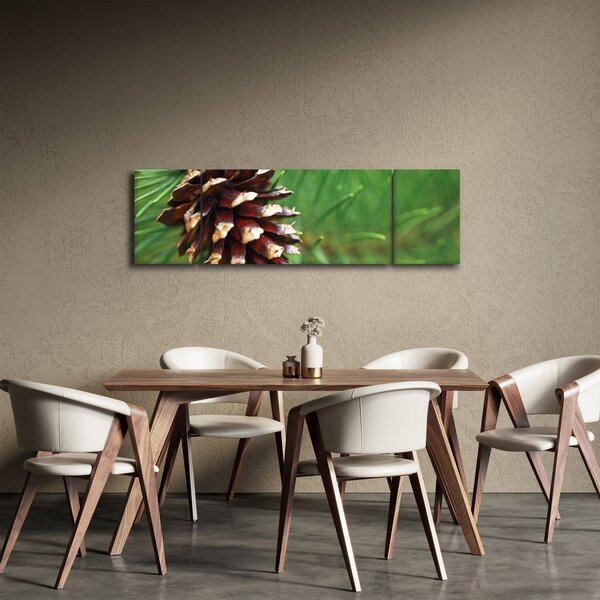 Obraz šišky (170x50 cm)