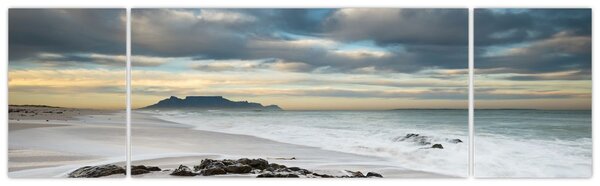 Obraz - Robben Island (170x50 cm)