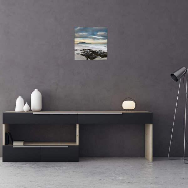 Obraz - Robben Island (30x30 cm)