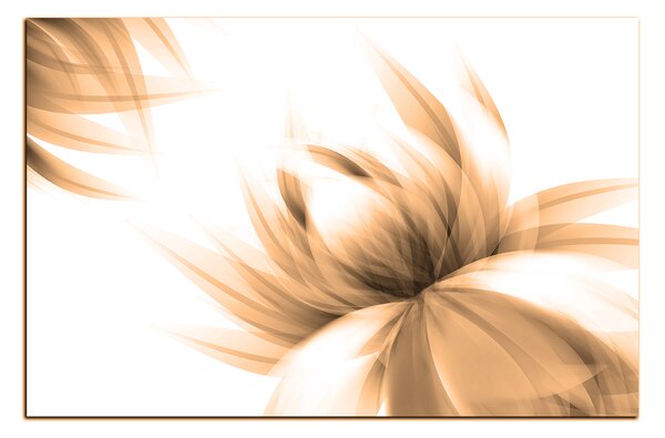 Obraz na plátně - Elegantní květ 1147FA (60x40 cm)