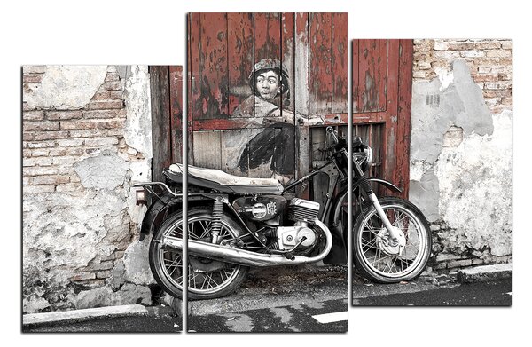 Obraz na plátně - Street art 1150QD (105x70 cm)