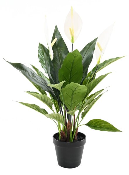 Umělá květina Spathiphyllum - Lopatkovec, 50cm