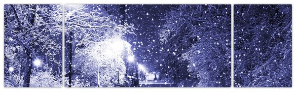 Obraz - Kouzelná zimní noc (170x50 cm)